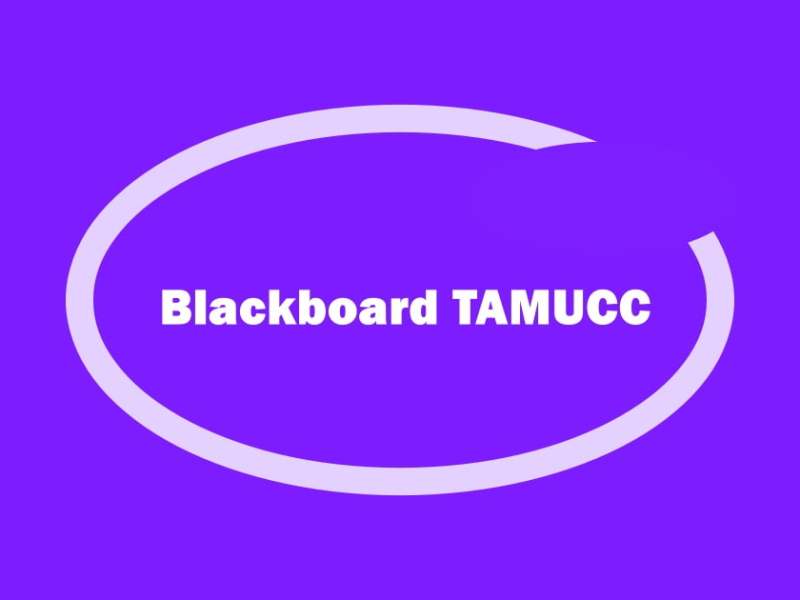 Blackboard TAMUCC Login