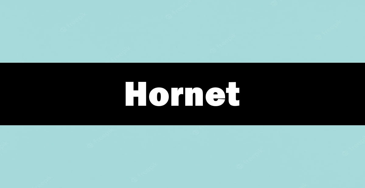 How to See Someone Who Likes You on Hornet App